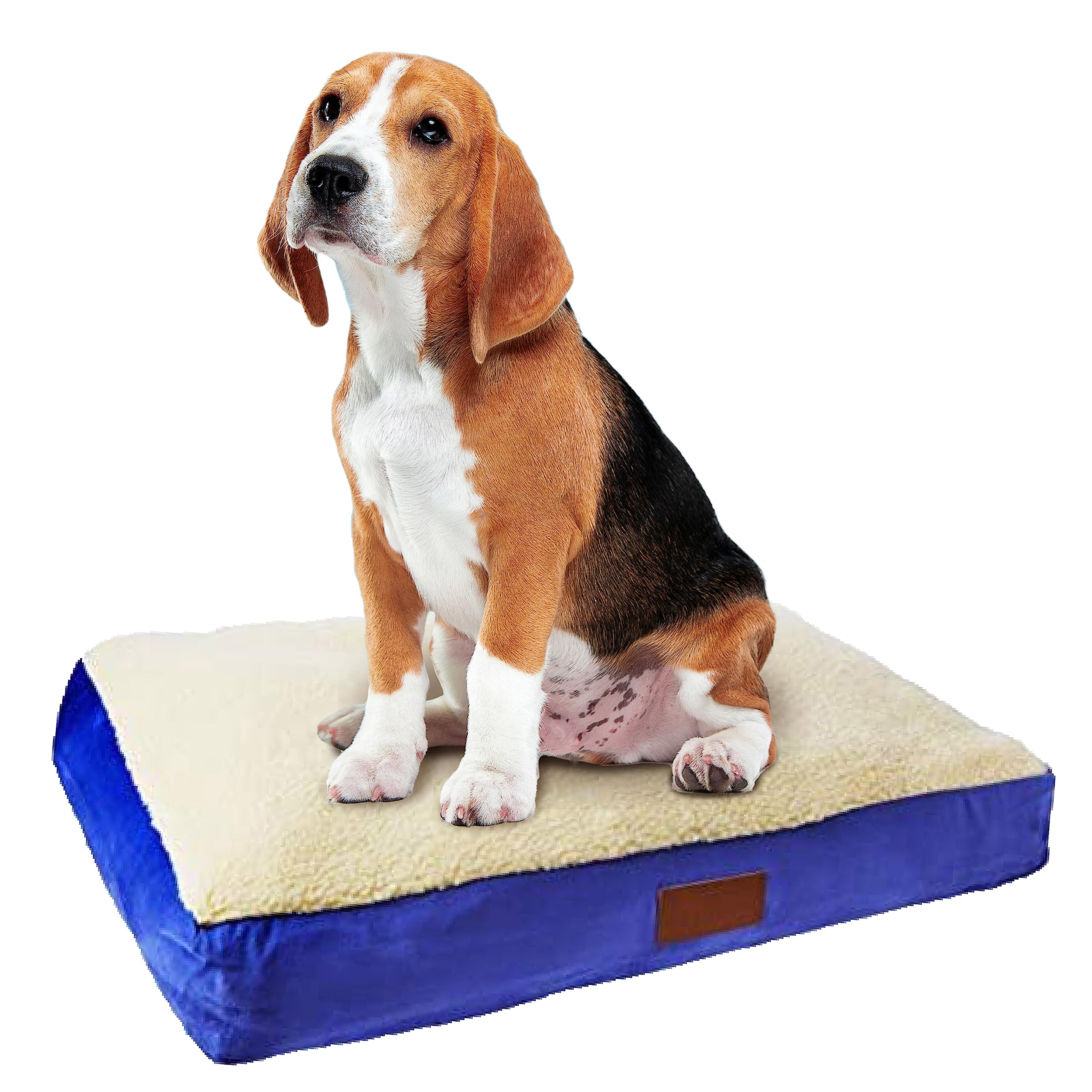 Ellie-Bo Medium Dog Bed for 30-inch Dog Cage/Crate - Blue Faux Suede/Sheepskin