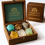Anima Abundance Crystals Set Large Raw Citrine Pyrite Tigers Eye Green
