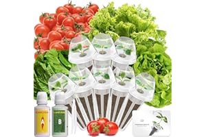 LYKOCLEAN Salad Seed Pod Kits for AeroGarden, 8-Pods iDOO Hydroponics Growing System Herb Garden, Including American Fast Lettuce, Buttercrunch Lettuce, Red Cherry Tomato, 400+ Seeds