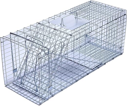 Trapro Large Collapsible Humane Live Animal Cage Trap For Raccoon
