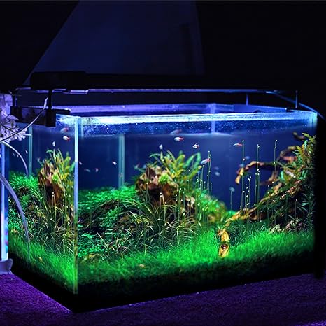 simbr luces led para acuarios y estanques 1200 lumens 95 115cm 144led color de luz blanco y azul con enchufe eu