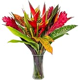 Fresh Orchids and Tropical Flower Bouquet, Perfect for Birthdays, Easter, Mother's Day, Anniversaries, Gifts, etc. (Multicolor)