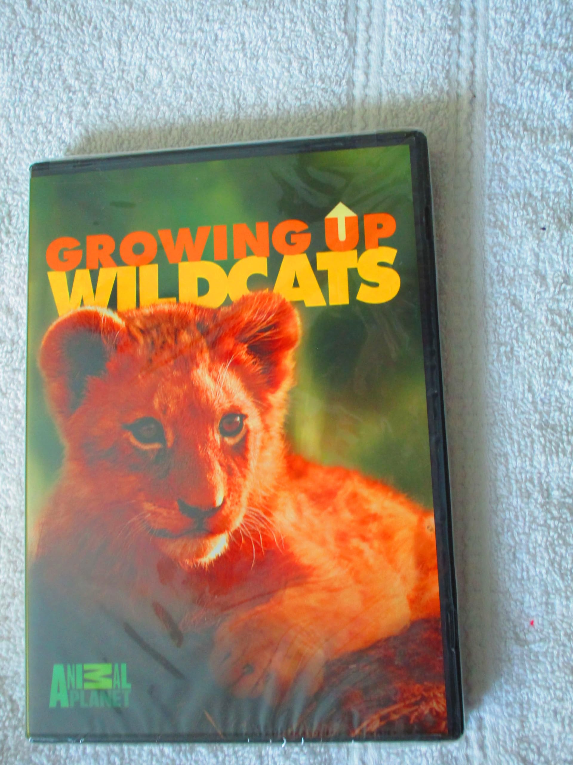 Photo 1 of Growing Up Wild Cats [DVD]