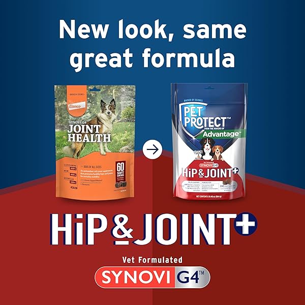 SYNOVI G4 DOG JOINT SUPPLEMENT CHEWS, 240-COUNT