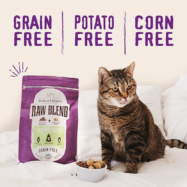 STELLA & CHEWY’S RAW BLEND PREMIUM KIBBLE CAT FOOD – GRAIN FREE, PROTEIN RICH MEALS – CAGE-FREE POULTRY RECIPE – 2.5 LB. BAG