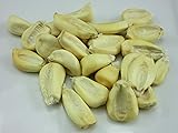 1215-Giant Peruvian Popping Corn (Zea Mays) Seeds