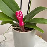 Vitax Ltd Orchid Drip Feed Mini Bottles 30ml Pack of 10 view 2