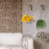 Lifreer Set of 10 Iron Wall Hanging Hooks 2.8x1.6in Garden Plant Lantern view 7