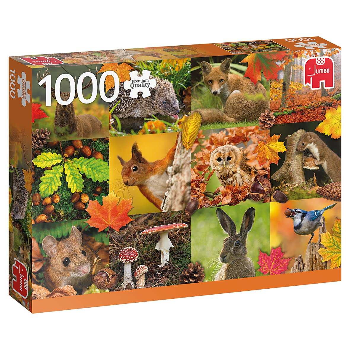 18863 Animals in Autumn, 1000 Pieces, Squirrel Accessories, Multi-Coloured