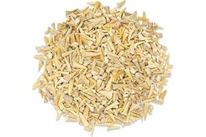 DEY DESIGNS 1/2 LB Shark Teeth Bulk Fossils Wholesale - Real Authentic Shark Tooth - High Grade Fossils