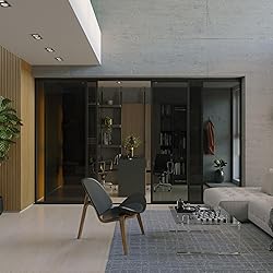 Doors 55 Glass Room Divider Panel and Partition