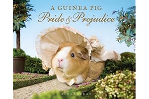A Guinea Pig Pride & Prejudice