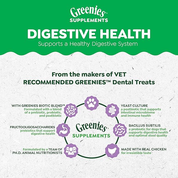 GREENIES SUPPLEMENTS DIGESTIVE HEALTH PROBIOTICS FOR DOGS CHICKEN FLAVOR, 15.6 OZ. TUB OF 80 CT. SOFT CHEWS DOG PROBIOTICS