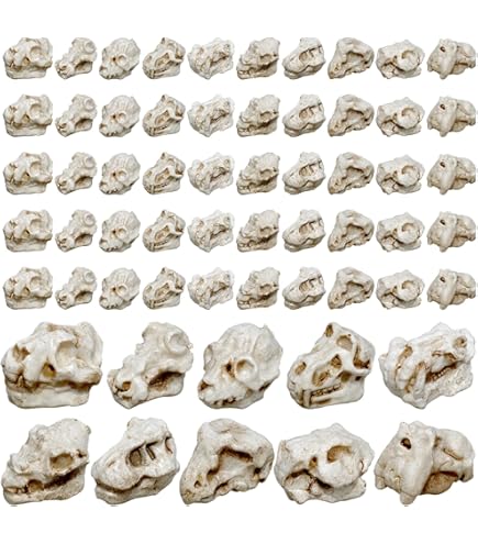 Exposición De Calaveras Gigantes | Punto Singular