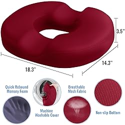 CloudBliss Donut Pillow Seat Cushion Chair Pad for