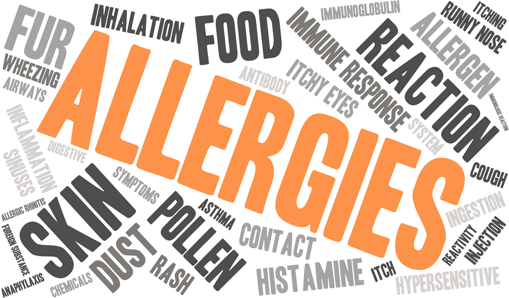 Allergy Relief Sourcebook : Discover the Secrets, Strategies, Tips and Tools You Need To Balance Allergy Relief - Thumbnail 4