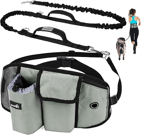 fanny pack dog leash