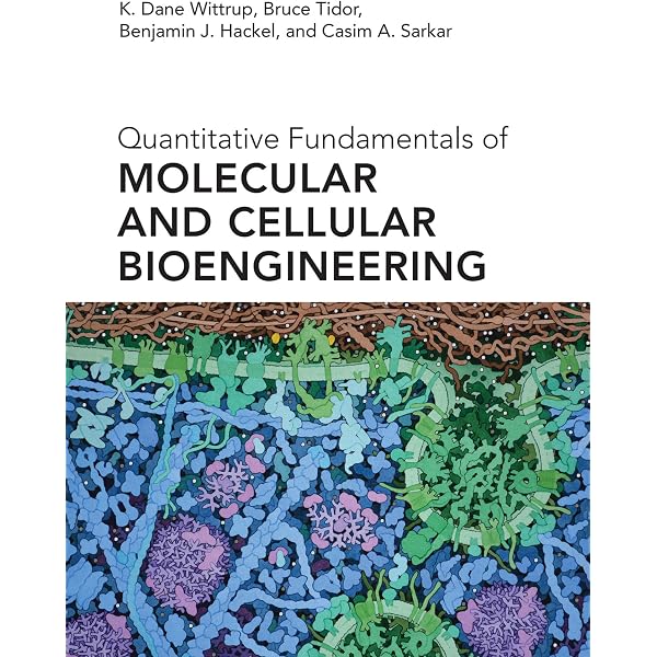 Three-Dimensional Electron Microscopy of Macromolecular Assemblies: Visualization of Biological Molecules in Their Native State [ペーパーバック] Frank， Joachim Three-Dimensional Electron Microscopy of Macromolecular Assemblies