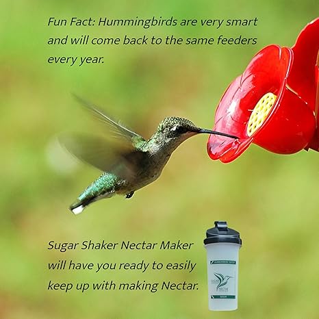 Amazon Com Sugar Shaker Nectar Maker 20 Oz Bottle Hummingbird Nectar Easy Mix Bottle For Filling Hummingbird Feeders Quickly Powder Nectar Mix For Hummingbirds Has Never Been Easier Garden Outdoor