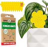 Super Ninja Fungus Gnat Killer 10 Pack Yellow Sticky Traps Indoor Plants view 1