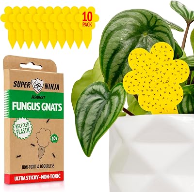 Super Ninja Fungus Gnat Killer 10 Pack Yellow Sticky Traps Indoor Plants