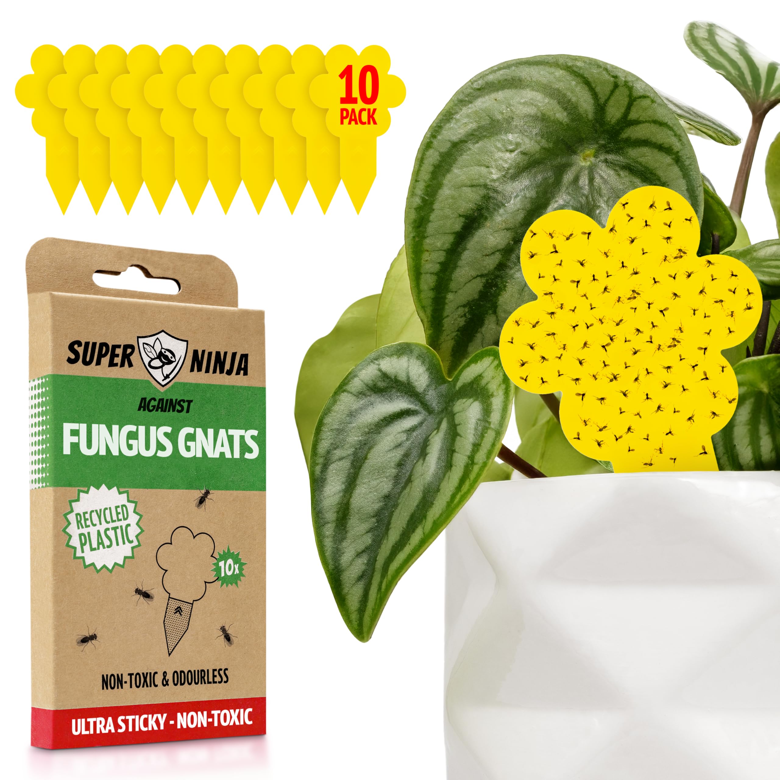 Super Ninja Fungus Gnat Killer - 10 Pack, Effective Gnat Killer for Indoor Plants, Non-Toxic & Nature-Friendly, Safe for Kids & Pets Yellow Sticky Fly Traps, Lasts Up to 3 Months