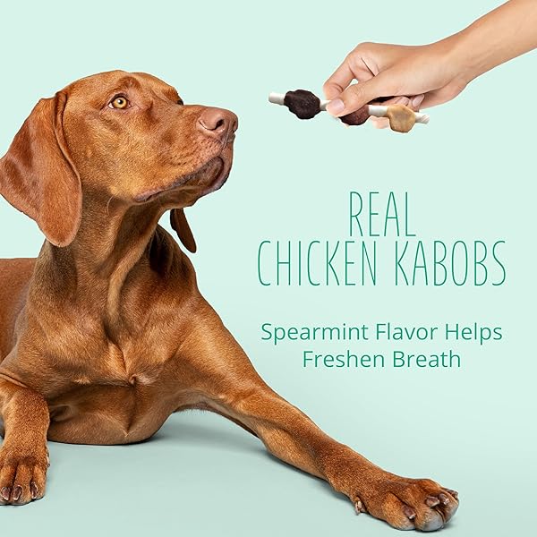 BETTER BELLY DENTAL KABOBS, DENTAL DOG CHEWS WITH BREATH-FRESHENING SPEARMINT, 18 COUNT