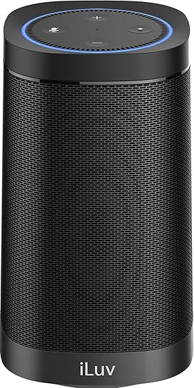 connect echo dot via aux