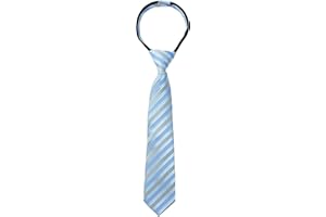 Spring Notion Boys' Pre-tied Woven Zipper Tie