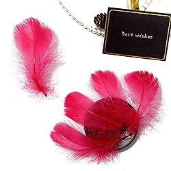 300pcs Wine Red Feathers 2-3 Inches Bulk Feathers