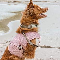 Hurtta Cooling Wrap for Dogs, Tumeric, 30-34 in