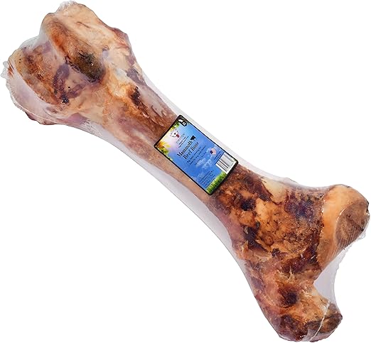 beef femur