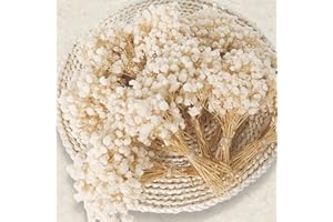 HUASHIYE 9000+ Mini Dried Babys Breath Flowers, 150 Pcs Ivory White Baby Breath Flowers, Natural Preserved Gypsophila Bouquets for Rustic Wedding Decor, DIY Crafts, Gift Wrapping, Vase Arrangement