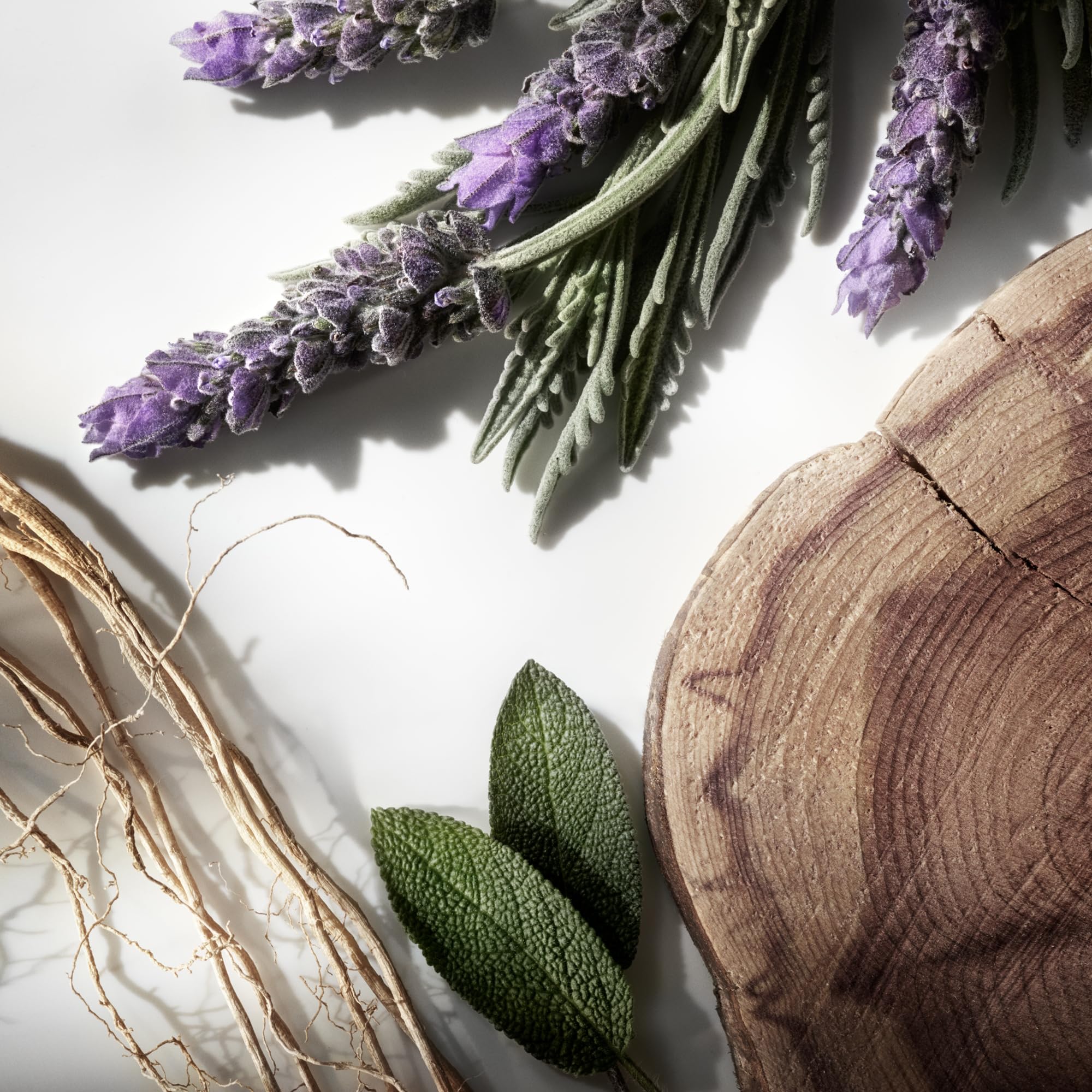 RALPH LAUREN FRAGRANCES - Ralph's Club - Eau de Parfum - Men's Cologne - Woody & Fresh - With Lavandin, Sage, Vetiver, and Cedarwood - Medium Intensity