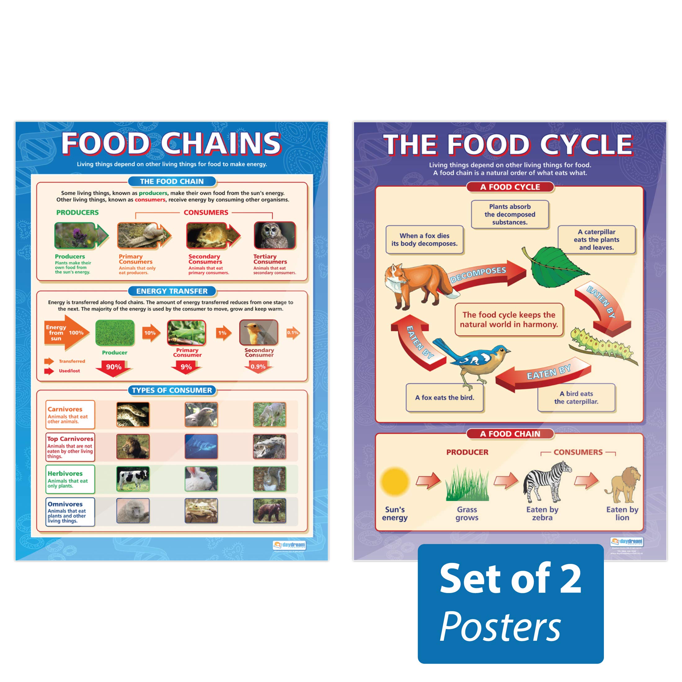 Daydream Education The Food Cycle & Food Chains Posters - Set of 2 | Science Posters | Laminated Gloss Paper measuring 850mm x 594mm (A1) | Science Charts for the Classroom | Education Charts