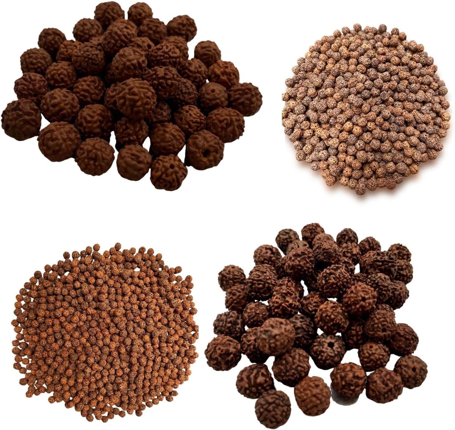 Naisha Natural Rudraksh 165 Piece Loose Rudraksha Beads Mala, Genuine Himalayan Meditation Bodhi Beads 8-14mm Jewelry Making DIY Big Lot 4 Different Sizes