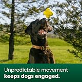 Earth Rated Dog Ball Interactive Fetch Toy Large Yellow view 4