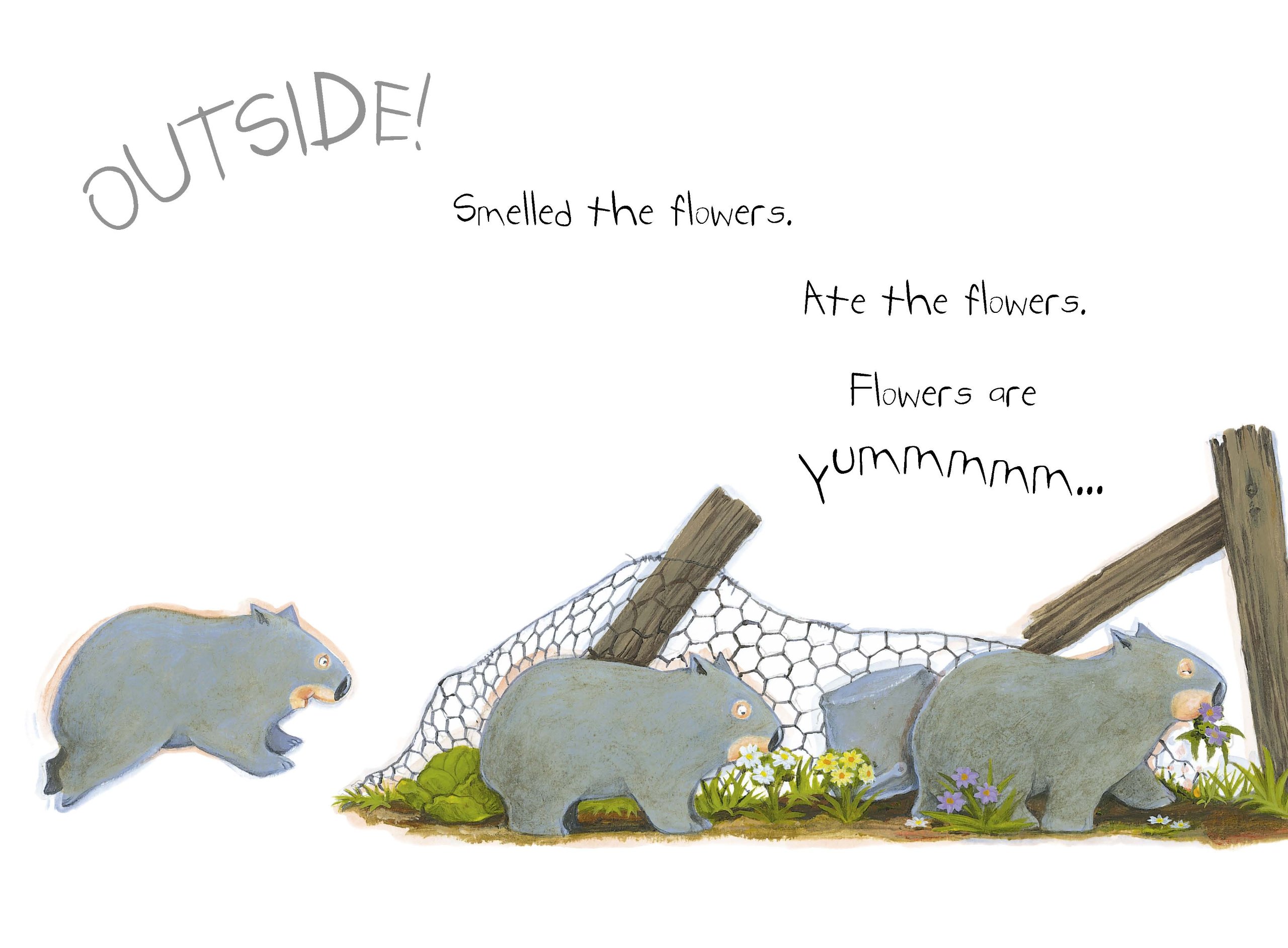 diary of a baby wombat