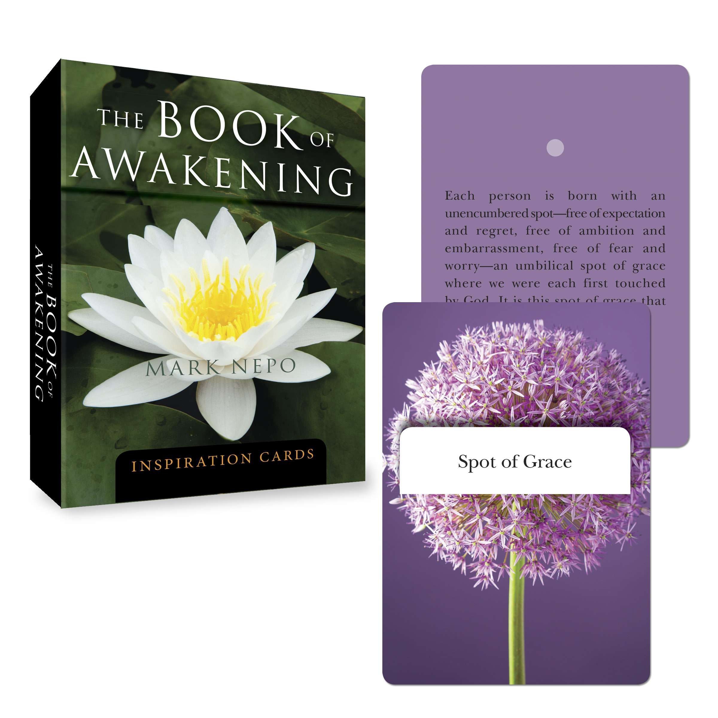 Amazon The Book Of Awakening Inspiration Cards Tarcher Inspiration Cards Nepo Mark Self Esteem