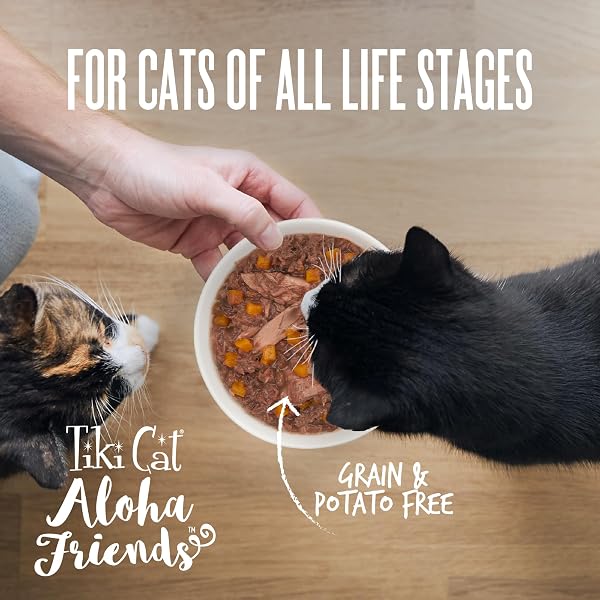 TIKI CAT ALOHA FRIENDS MEGA PACK, TUNA FAVORITES, 3 OZ. CAN (36 COUNT)