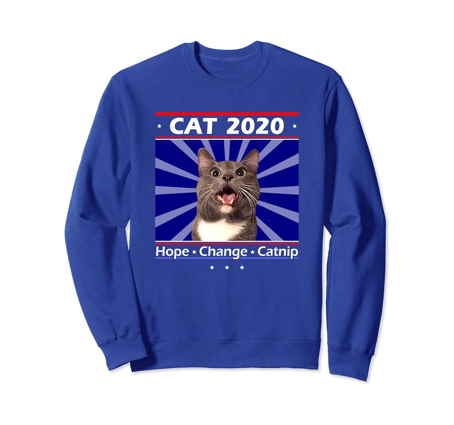 Funny Cat Sweat Shirt | Vote 2020 Politics Sweatshirt-anz