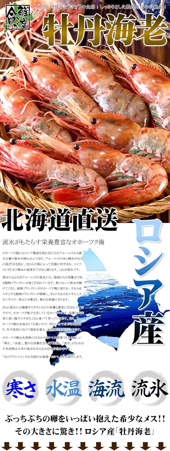 Amazon ロシア産 ボタンエビ 1kg Bfl メス子持ち 16 19尾入り 生冷凍 エビ 海老 牡丹海老 北海道 グルメ お取り寄せ 北のデリシャス エビ 通販