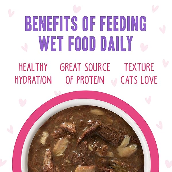 WERUVA B.F.F. OMG – BEST FELINE FRIEND OH MY GRAVY!, RAINBOW A GOGO VARIETY PACK! CAT FOOD, 3OZ POUCH (PACK OF 12)