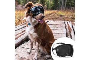 Rex Specs V2 Dog Goggles (X-Large, Black)