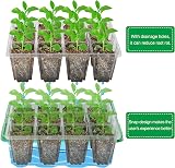MIXC Seed Trays with Grow Light 5Pack with Lids Propagators for Plants view 4