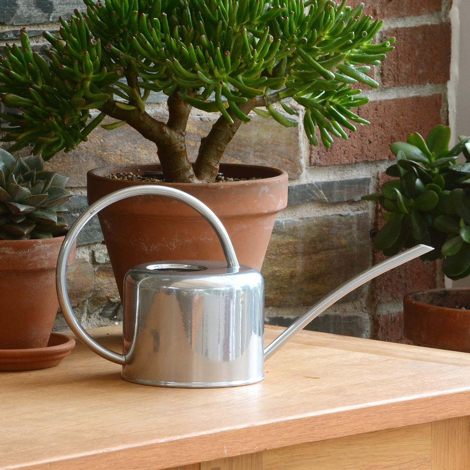CKB Ltd® Small 1.1L Indoor Watering Can - Polished Galvanised Powder Coated Steel - For Houseplants Contemporary Metal Design With Narrow Spout And High Handle (Silver) — image 1