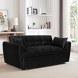 65-Inch Loveseat with Pull Out Sleeper Couch