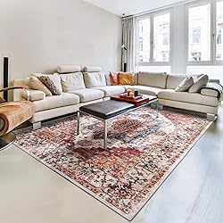YJ.GWL Area Rug 3x5, Washable Entryway Rug, Soft