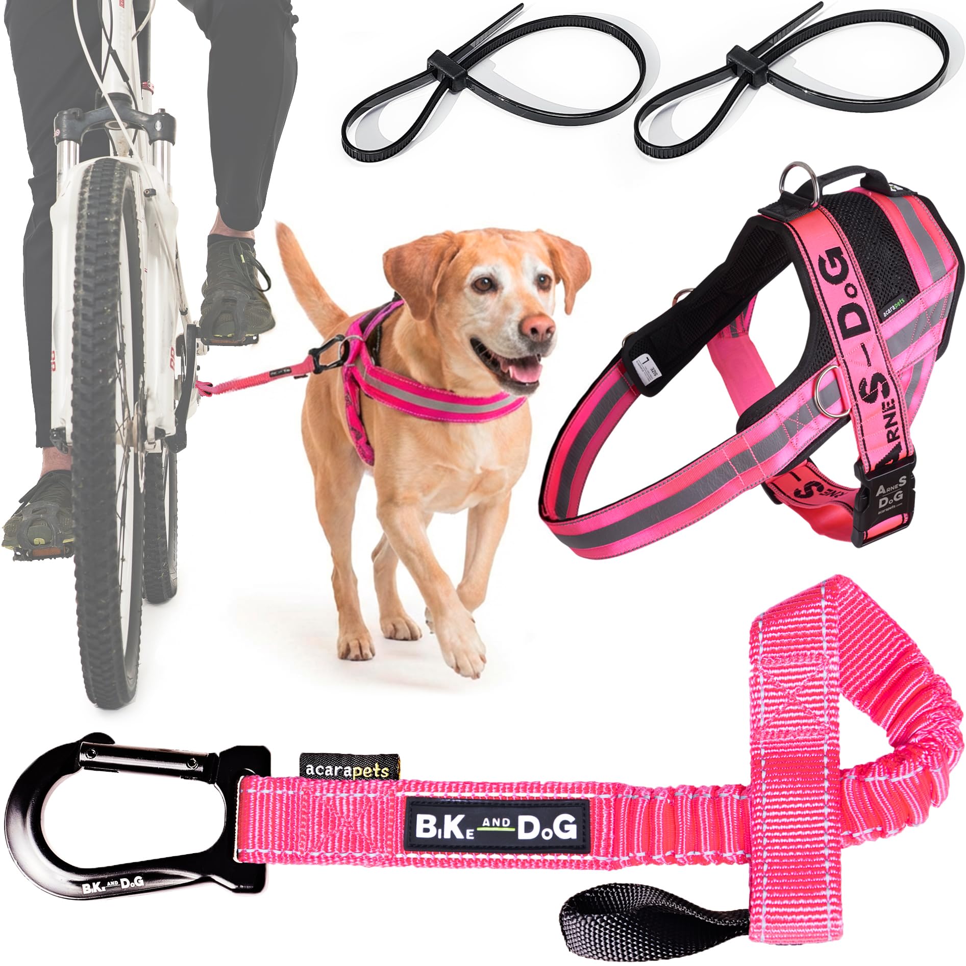 BIKE AND DOG - Dog leash and dog harness for bicycle, harness with side rings, includes 2 bicycle straps. Patented. (Pink, Leash-harness L)
