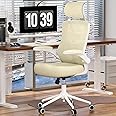 FOKESUN Ergonomic Office Chair, High Back Mesh Desk Chair with Molded Foam Cushion, Adjustable Headrest, Lumbar Support, Lock Function (All Beige)
